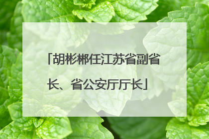 胡彬郴任江苏省副省长、省公安厅厅长