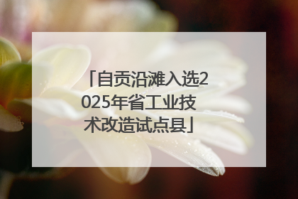 自贡沿滩入选2025年省工业技术改造试点县