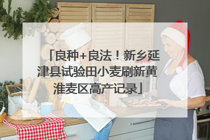 良种+良法！新乡延津县试验田小麦刷新黄淮麦区高产记录