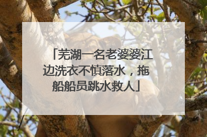 芜湖一名老婆婆江边洗衣不慎落水，拖船船员跳水救人