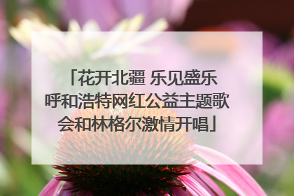 花开北疆 乐见盛乐 呼和浩特网红公益主题歌会和林格尔激情开唱