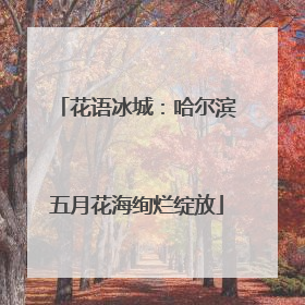 花语冰城：哈尔滨五月花海绚烂绽放