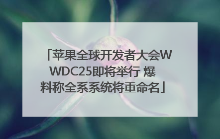 苹果全球开发者大会WWDC25即将举行 爆料称全系系统将重命名