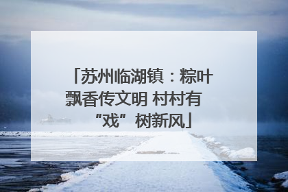 苏州临湖镇：粽叶飘香传文明 村村有“戏”树新风