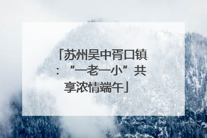 苏州吴中胥口镇：“一老一小”共享浓情端午