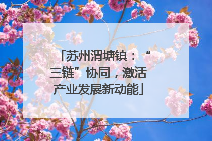 苏州渭塘镇：“三链”协同，激活产业发展新动能