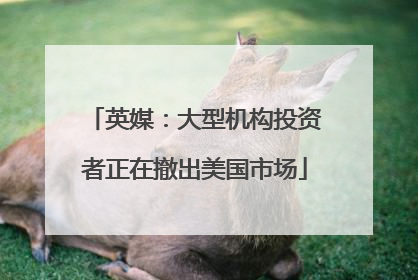 英媒：大型机构投资者正在撤出美国市场