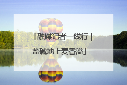融媒记者一线行｜盐碱地上麦香溢
