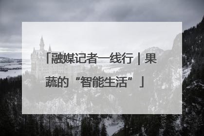 融媒记者一线行｜果蔬的“智能生活”