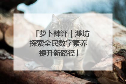 萝卜辣评｜潍坊探索全民数字素养提升新路径