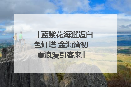 蓝紫花海邂逅白色灯塔 金海湾初夏浪漫引客来