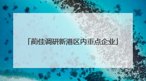蔺佳调研新港区内重点企业