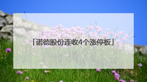 诺德股份连收4个涨停板