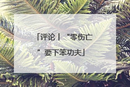 评论丨“零伤亡”要下笨功夫