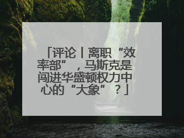 评论丨离职“效率部”，马斯克是闯进华盛顿权力中心的“大象”？