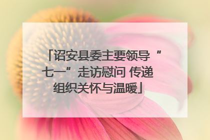 诏安县委主要领导“七一”走访慰问 传递组织关怀与温暖