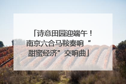诗意田园迎端午！南京六合马鞍奏响“甜蜜经济”交响曲