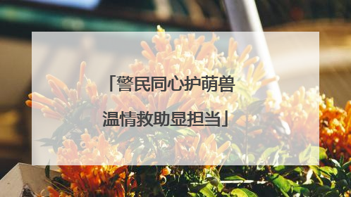 警民同心护萌兽 温情救助显担当