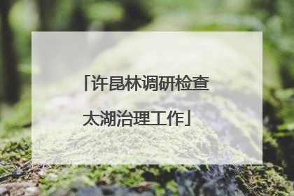 许昆林调研检查太湖治理工作