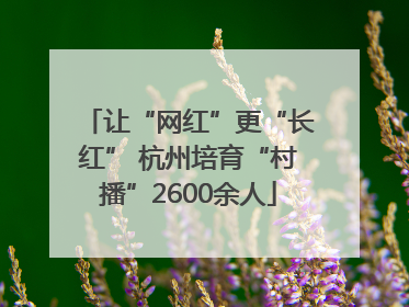 让“网红”更“长红” 杭州培育“村播”2600余人
