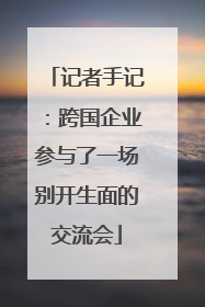 记者手记：跨国企业参与了一场别开生面的交流会