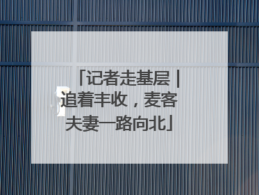 记者走基层｜追着丰收，麦客夫妻一路向北