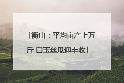 衡山：平均亩产上万斤 白玉丝瓜迎丰收