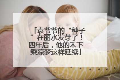 袁爷爷的“种子”在丽水发芽了！四年后，他的禾下乘凉梦这样延续