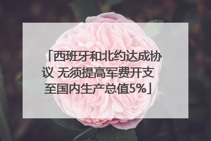 西班牙和北约达成协议 无须提高军费开支至国内生产总值5%