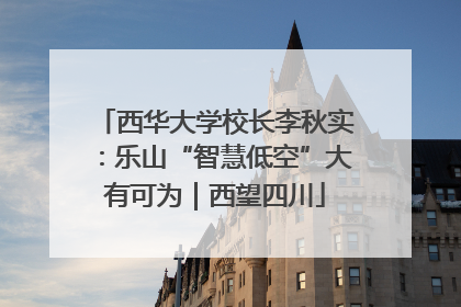 西华大学校长李秋实：乐山“智慧低空”大有可为｜西望四川