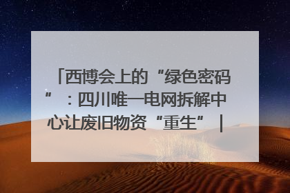 西博会上的“绿色密码”：四川唯一电网拆解中心让废旧物资“重生”｜西博寻“新”记