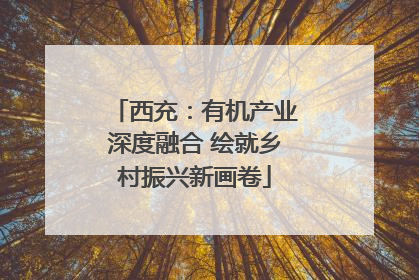 西充：有机产业深度融合 绘就乡村振兴新画卷