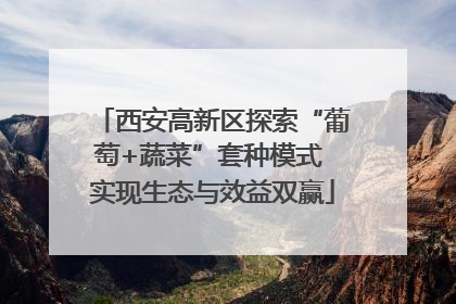 西安高新区探索“葡萄+蔬菜”套种模式 实现生态与效益双赢