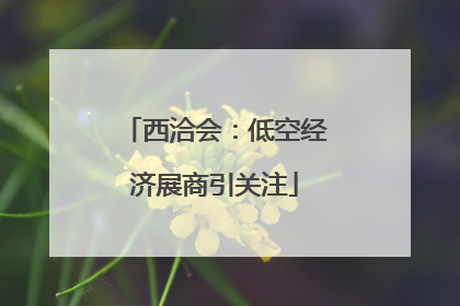 西洽会：低空经济展商引关注