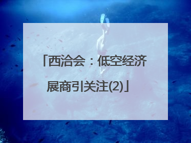 西洽会：低空经济展商引关注(2)