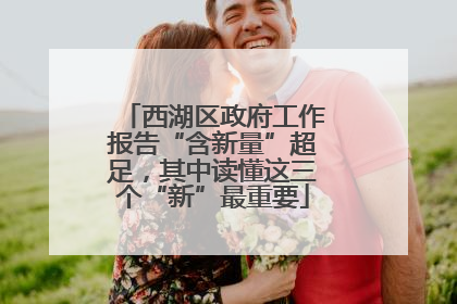 西湖区政府工作报告“含新量”超足，其中读懂这三个“新”最重要