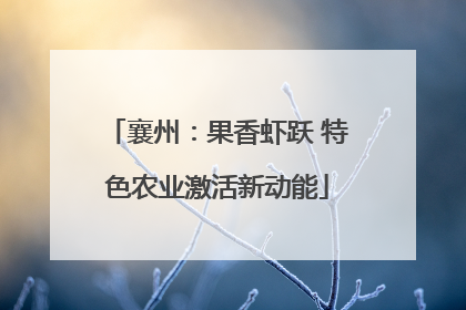 襄州：果香虾跃 特色农业激活新动能