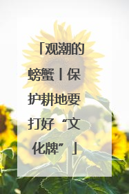 观潮的螃蟹丨保护耕地要打好“文化牌”
