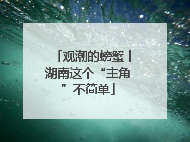 观潮的螃蟹丨湖南这个“主角”不简单