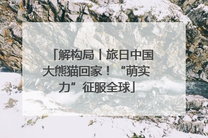 解构局丨旅日中国大熊猫回家！“萌实力”征服全球