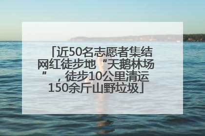 近50名志愿者集结网红徒步地“天鹅林场”，徒步10公里清运150余斤山野垃圾