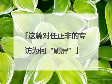 这篇对任正非的专访为何“刷屏”