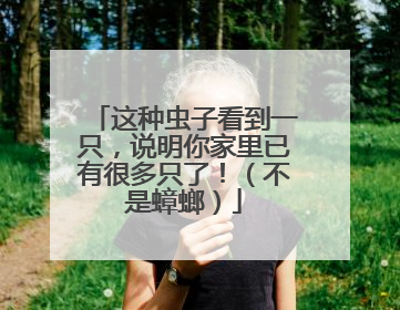 这种虫子看到一只，说明你家里已有很多只了！（不是蟑螂）