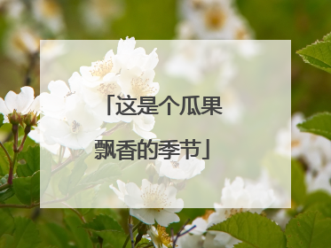 这是个瓜果飘香的季节