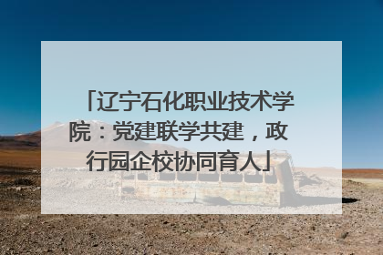 辽宁石化职业技术学院：党建联学共建，政行园企校协同育人