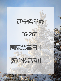 辽宁省举办“6·26”国际禁毒日主题宣传活动