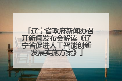 辽宁省政府新闻办召开新闻发布会解读《辽宁省促进人工智能创新发展实施方案》