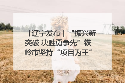 辽宁发布｜“振兴新突破 决胜勇争先”铁岭市坚持“项目为王”推进经济高质量发展