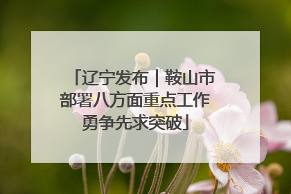 辽宁发布｜鞍山市部署八方面重点工作勇争先求突破