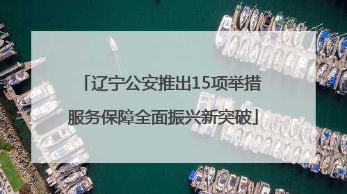 辽宁公安推出15项举措服务保障全面振兴新突破